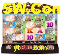 ytbet.com