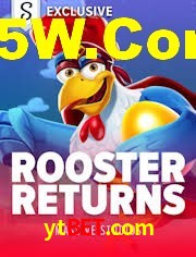 Bonus Features ytbet.com